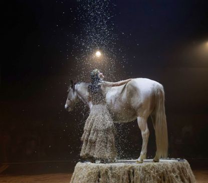 Spectacle Zusammen