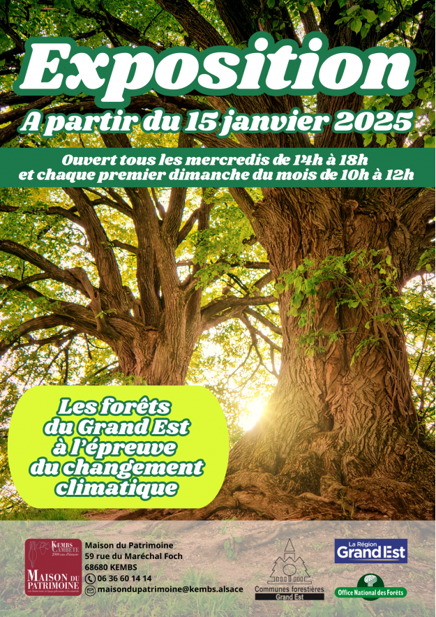 Expo foret chgt climatique(1)